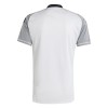 Maillot de Foot Gardien Juventus 2024-25
